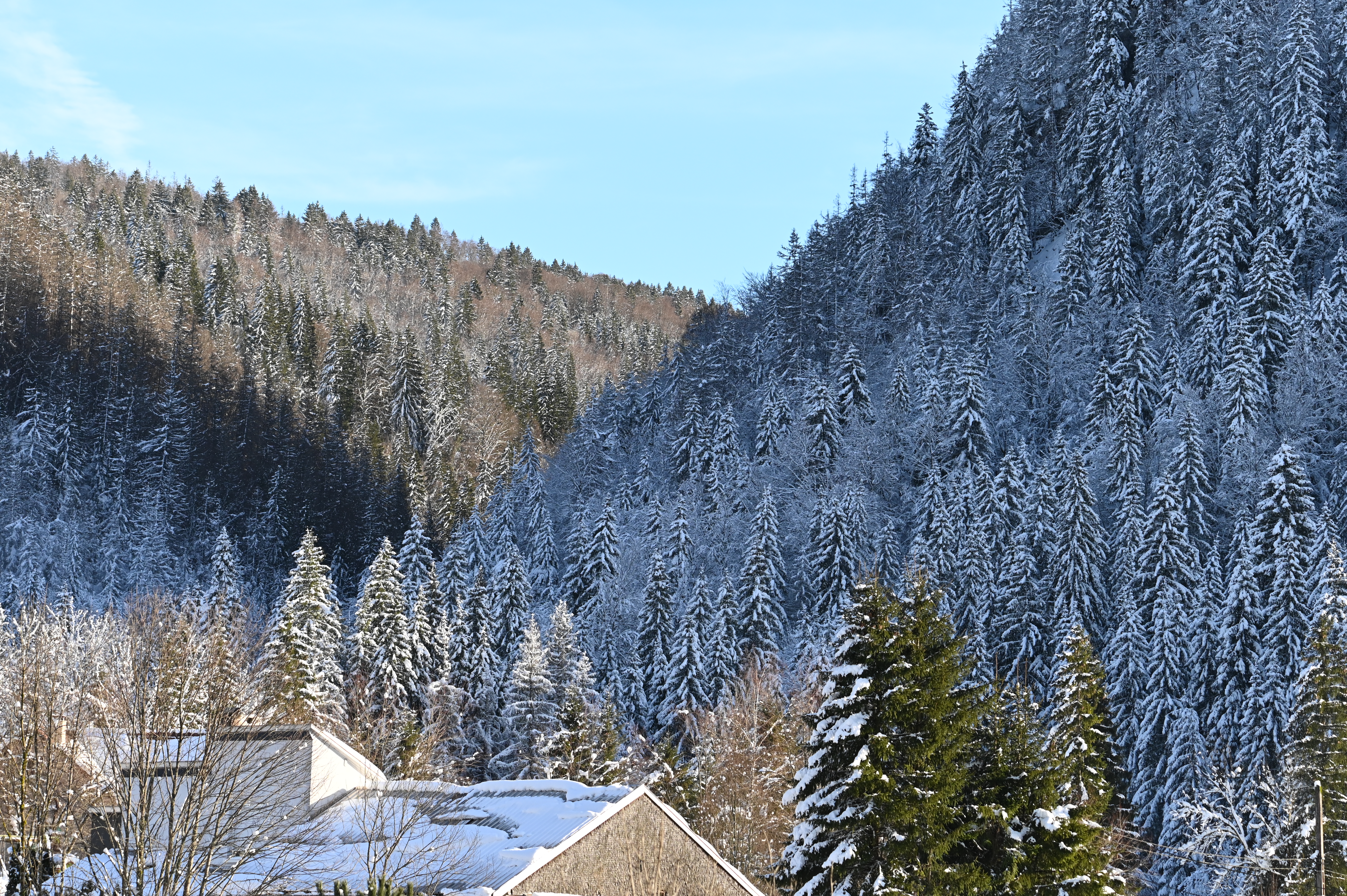 Blanc dans la vallée