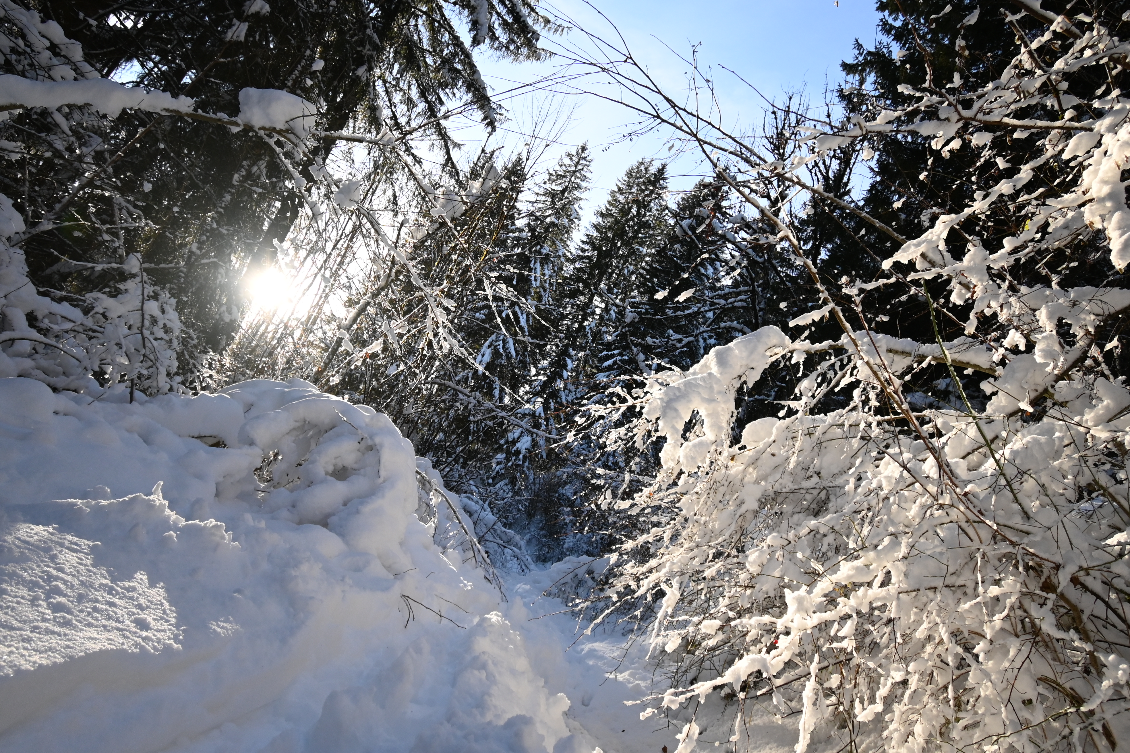 Une nature apaisée