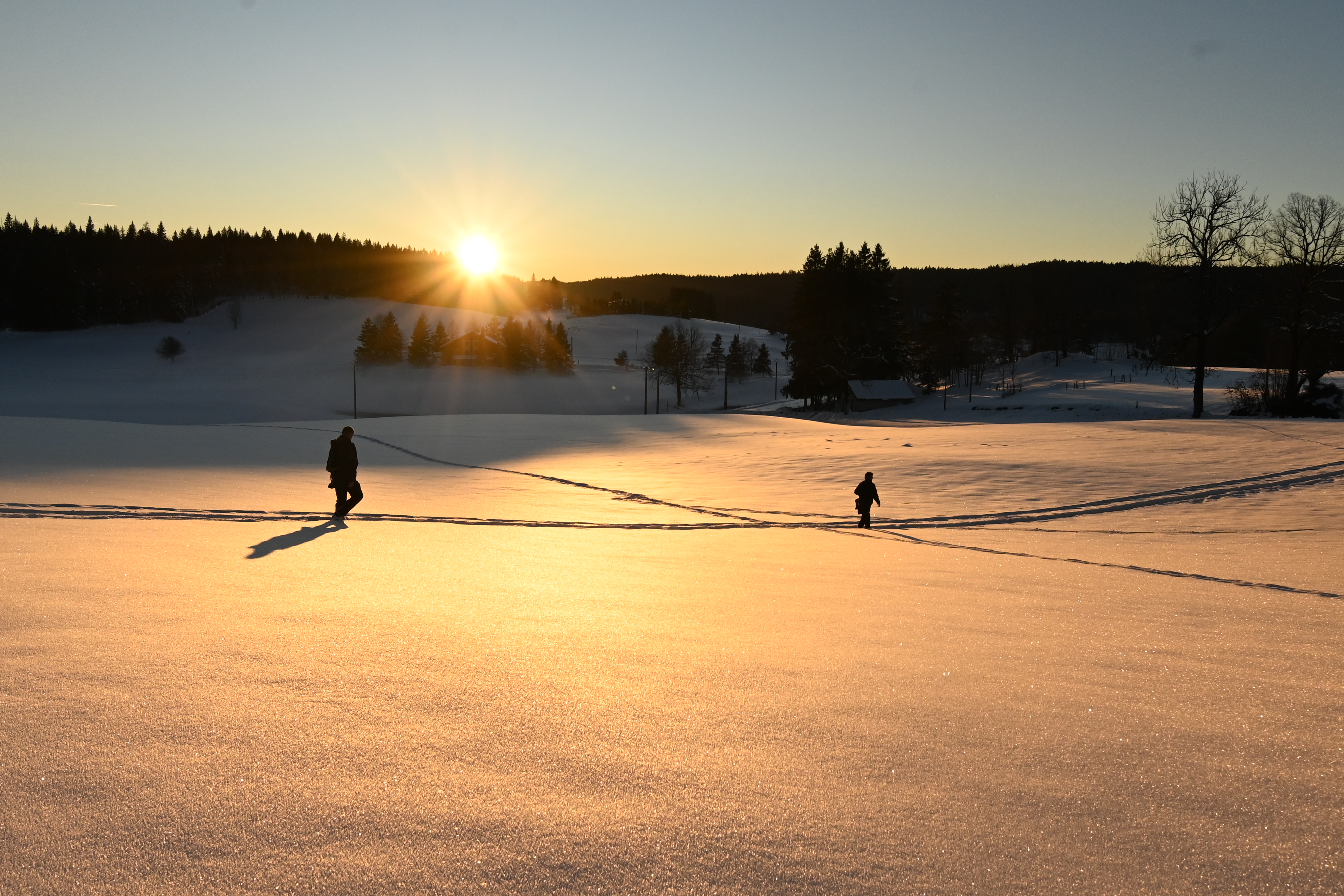 Dans les dunes de neige
